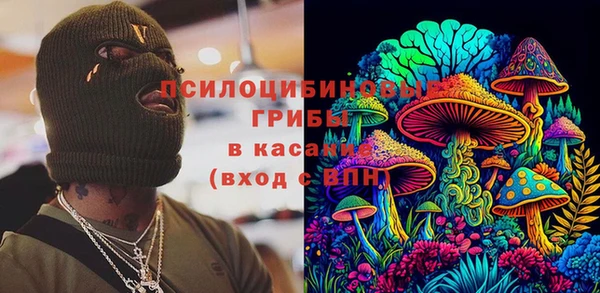 дживик Арсеньев
