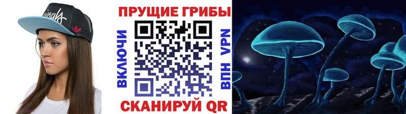 Псилоцибиновые грибы MAGIC MUSHROOMS Заполярный