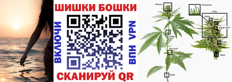 Каннабис индика  мега ONION  Заполярный  сколько стоит 